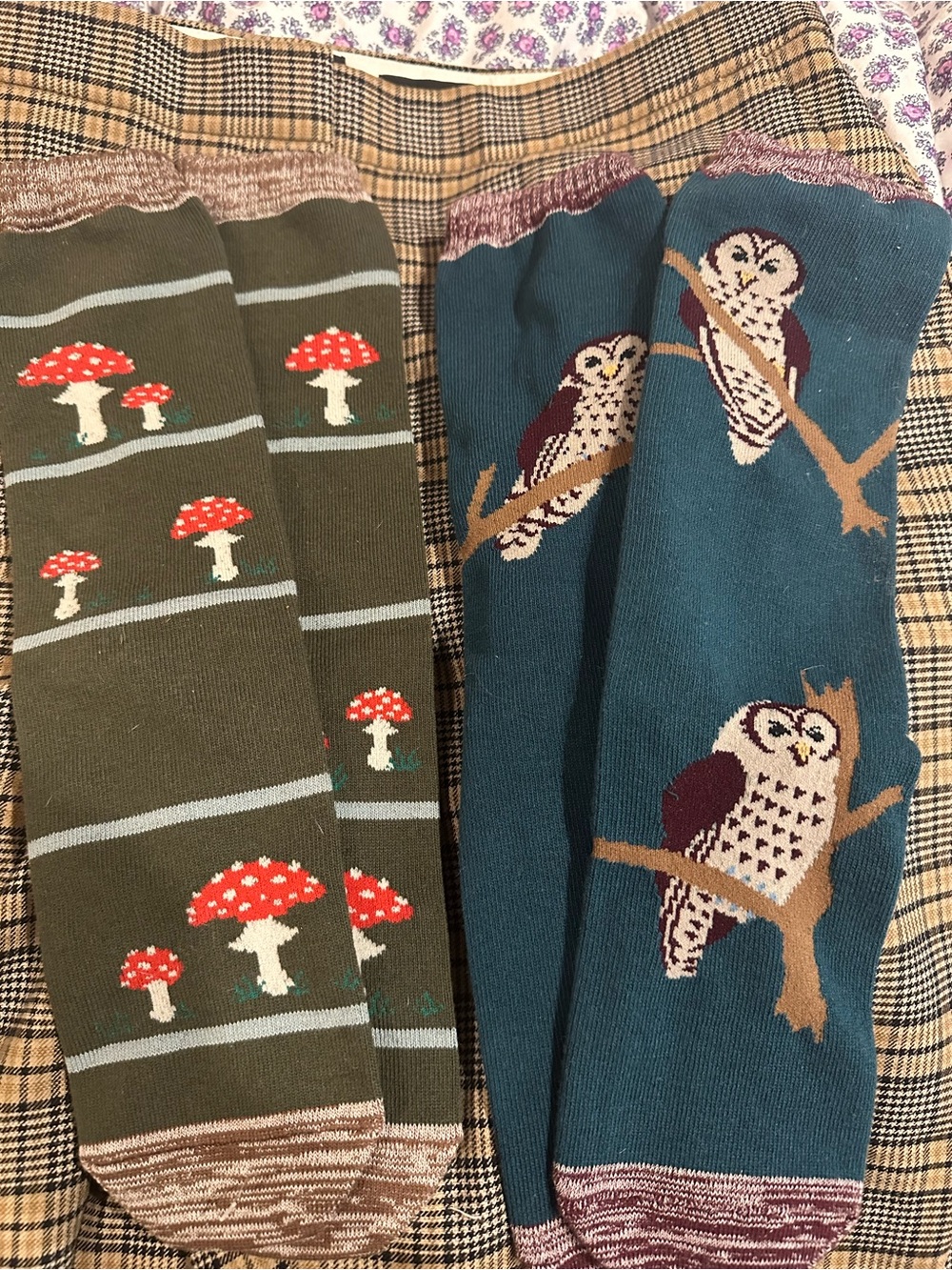 TABBISOCKS Sock Lot Barn Owl Mushroom Toadstool Japan Cotton NWOT Cottagecore